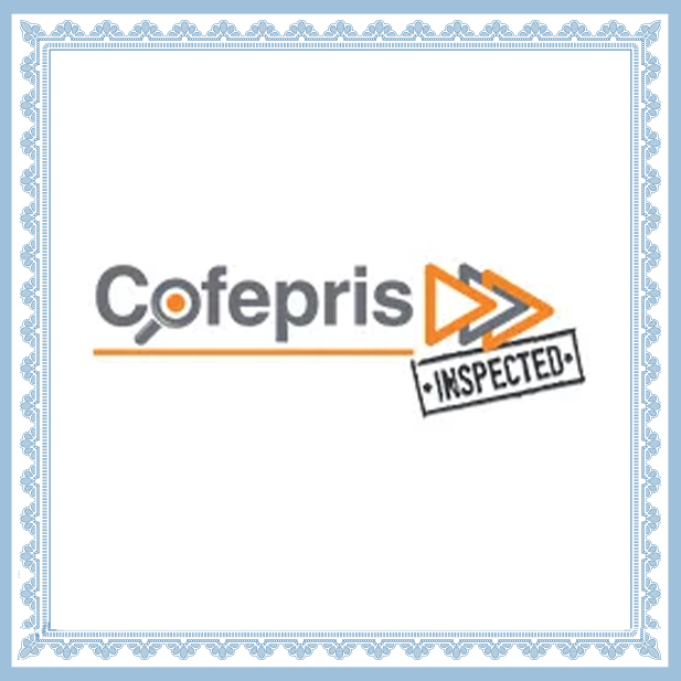 Logo 4